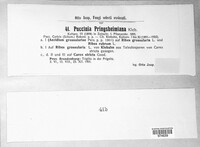 Puccinia caricina image